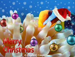 Merry xmas :-) by Cigdem Cooper 